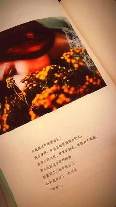 花开与你的半夏经典的句子