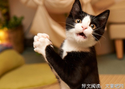 生子声能句子大全