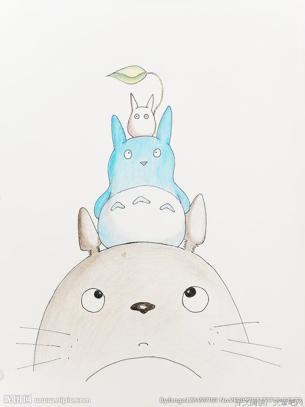 龙猫小语