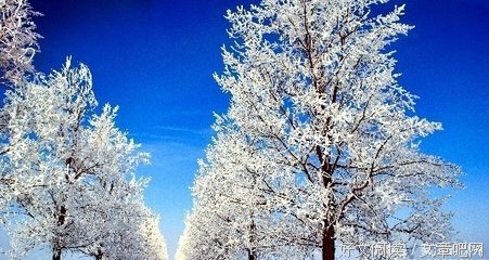 我想对你说的过你句子大全