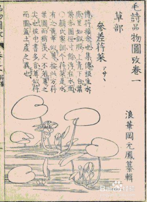 关于悠悠我心的句子