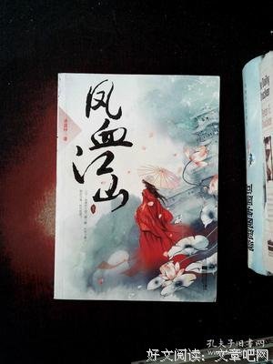 最全的《凤血》小说摘抄