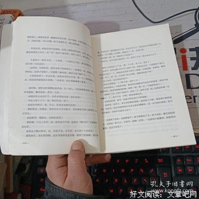 最经典的《北鸢》好段摘抄