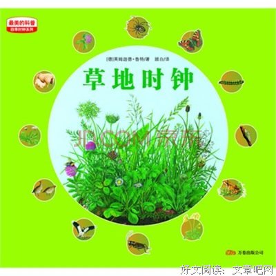 《昆虫的奇妙生活》读后感精选