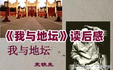 《找不到工作的一年》的读后感大全