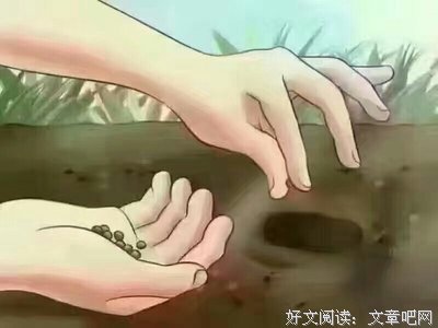 关于急于求成名言名句