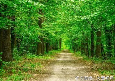描写威风凛凛的经典句子