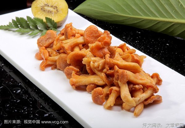 末日松茸经典读后感有感