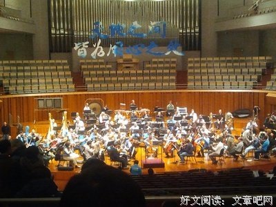 《西蒙·阿姆斯特尔：顺其自然》观后感精选