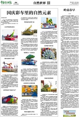 《猎杀档案》读后感1000字