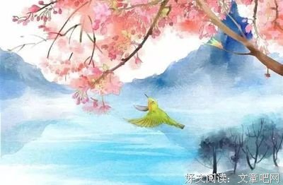野有蔓草名句欣赏