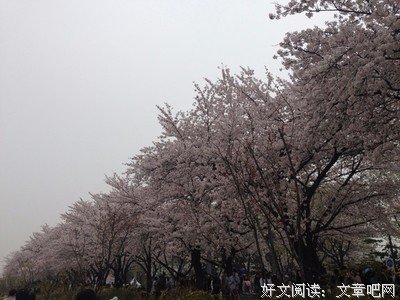 俗人军上可路中能歌的句子