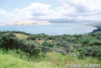 关于顾况经典语录