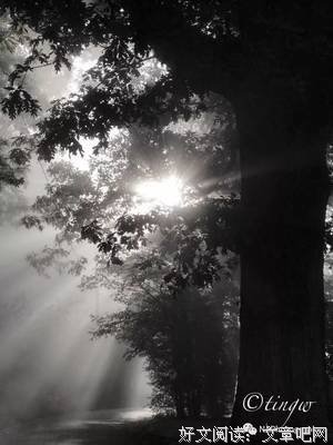 《危城》名句欣赏大全