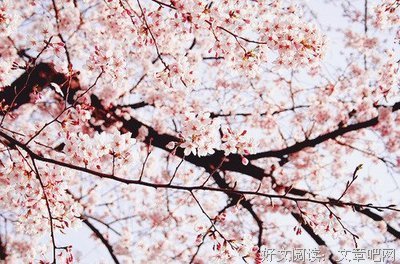 最全的《原谅》语录摘抄大全