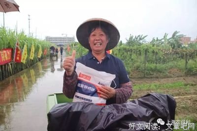 最经典的《叶子》语录摘抄