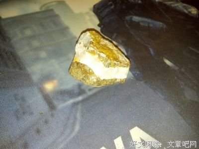 《狗头金》的影评大全
