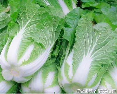 《白色严冬》影评摘抄