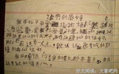 群众与权力读后感锦集