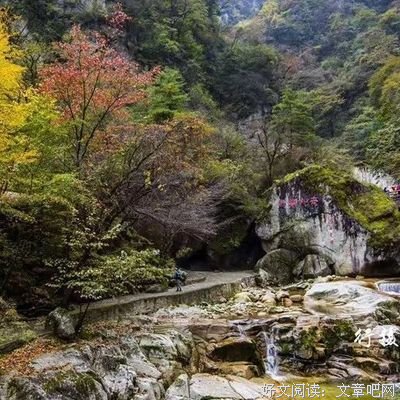 漫山秋色浓读后感锦集