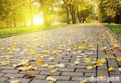 如梦如幻的语句摘抄_关于如梦如幻的语句