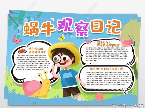 DK蘑菇大百科读后感1000字