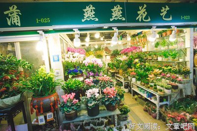 DK中英双语幼儿玩具书：春夏秋冬读后感精选