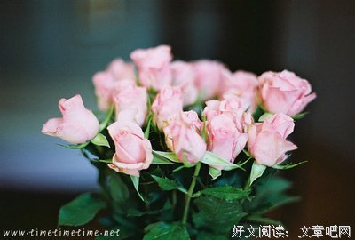 15条关于半途而废的经典语句