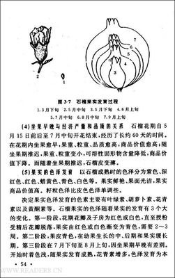 《中亚纪行》读后感100字