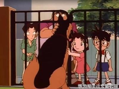 《狗与警察》好看吗？经典观后感锦集