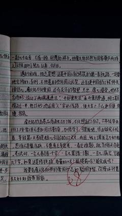 《愿你遍历山河，仍觉人间值得》读后感精选