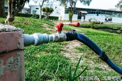关于淡如家上都用的句子