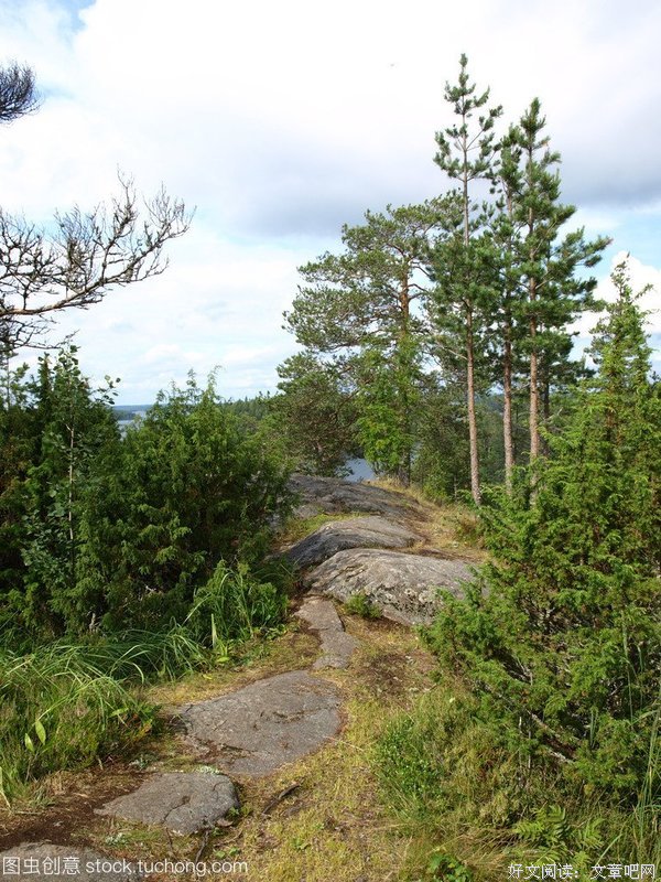 有关烟雨林南的句子
