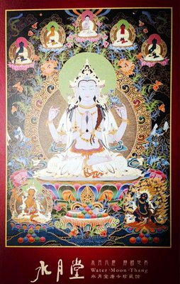 一花一只自月堂句子大全