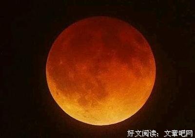 不如不遇倾城色经典的句子
