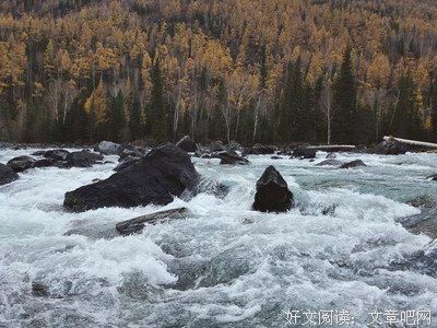 《流景难寻》的句子