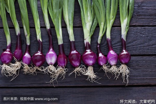 关于洋葱的句子