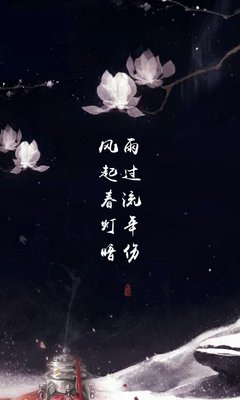 流年经典的句子