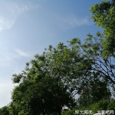最新的《哭砂》经典语句