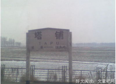 最新的《塔铺》小说句子大全