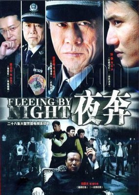 最新的《夜奔》好段摘抄大全