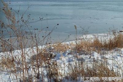 雪怕太阳，草怕霜；人怕没钱，情怕伤