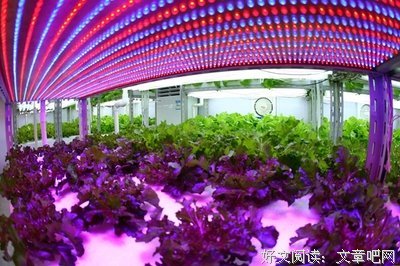 《隐秘而伟大》经典观后感有感