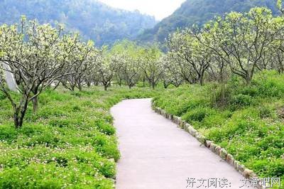 随手采撷，暗香盈袖句子大全