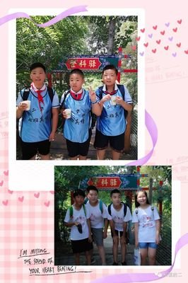 关于龙树名言大全