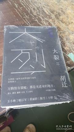 《大裂》好段摘抄