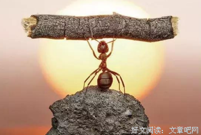 最新的《天空》经典句子大全