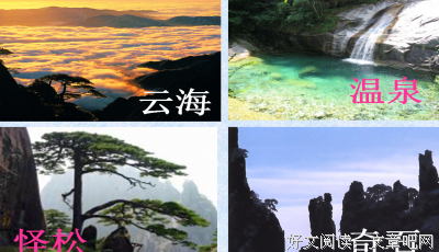 最新的《奇石》经典句子