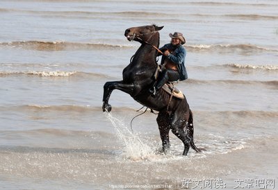 最全的《奔马》经典语录