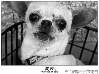 命好的人，身上都有这三种特征，你有吗？